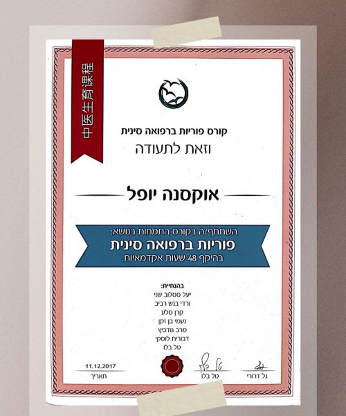 תמונה של WhatsApp‏ 2024-05-23 בשעה 09.20.57_9ad74f1c